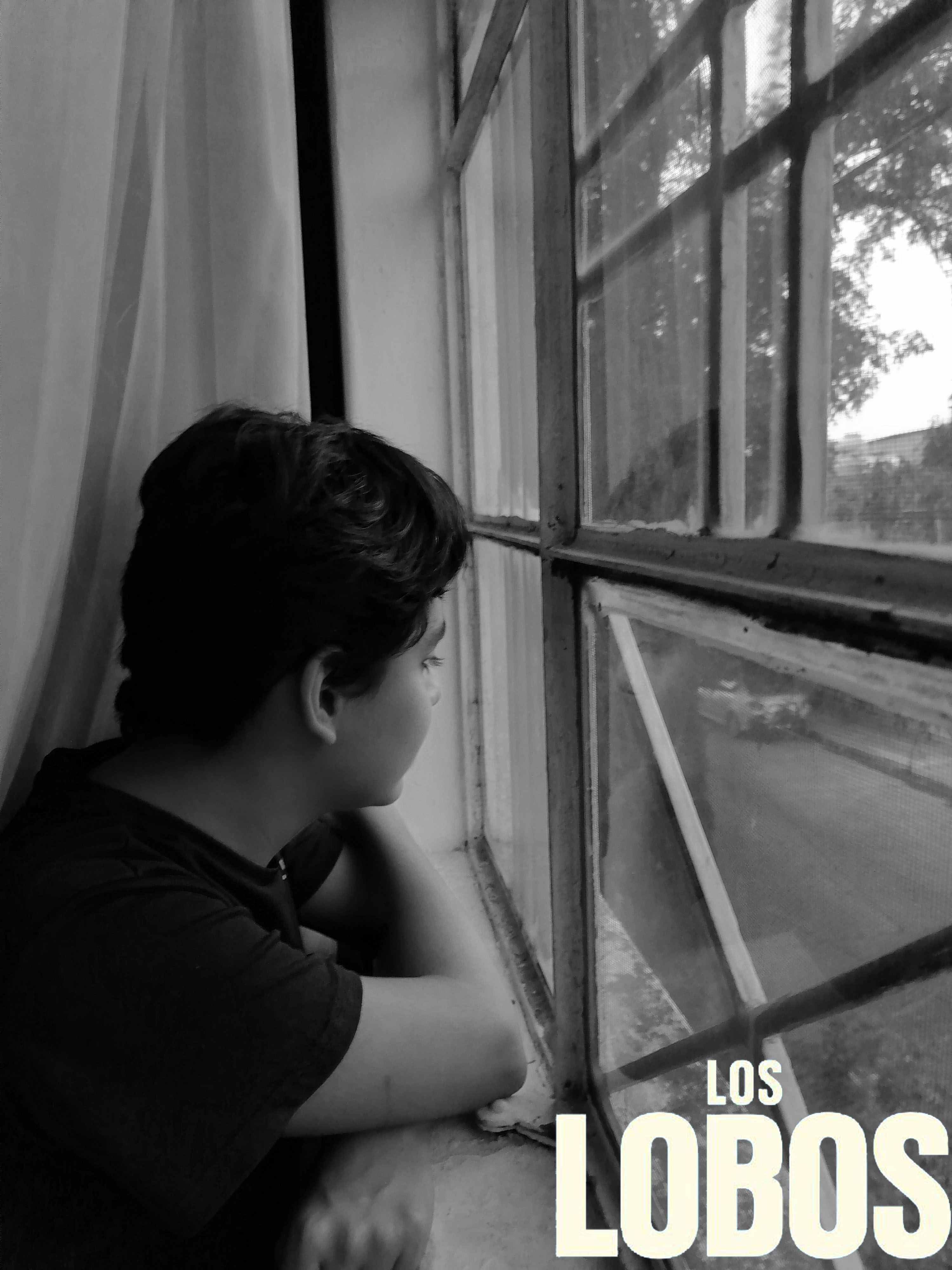 Imagen 2