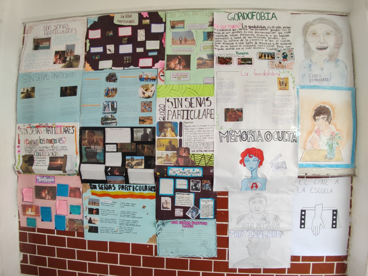 Imagen 7
