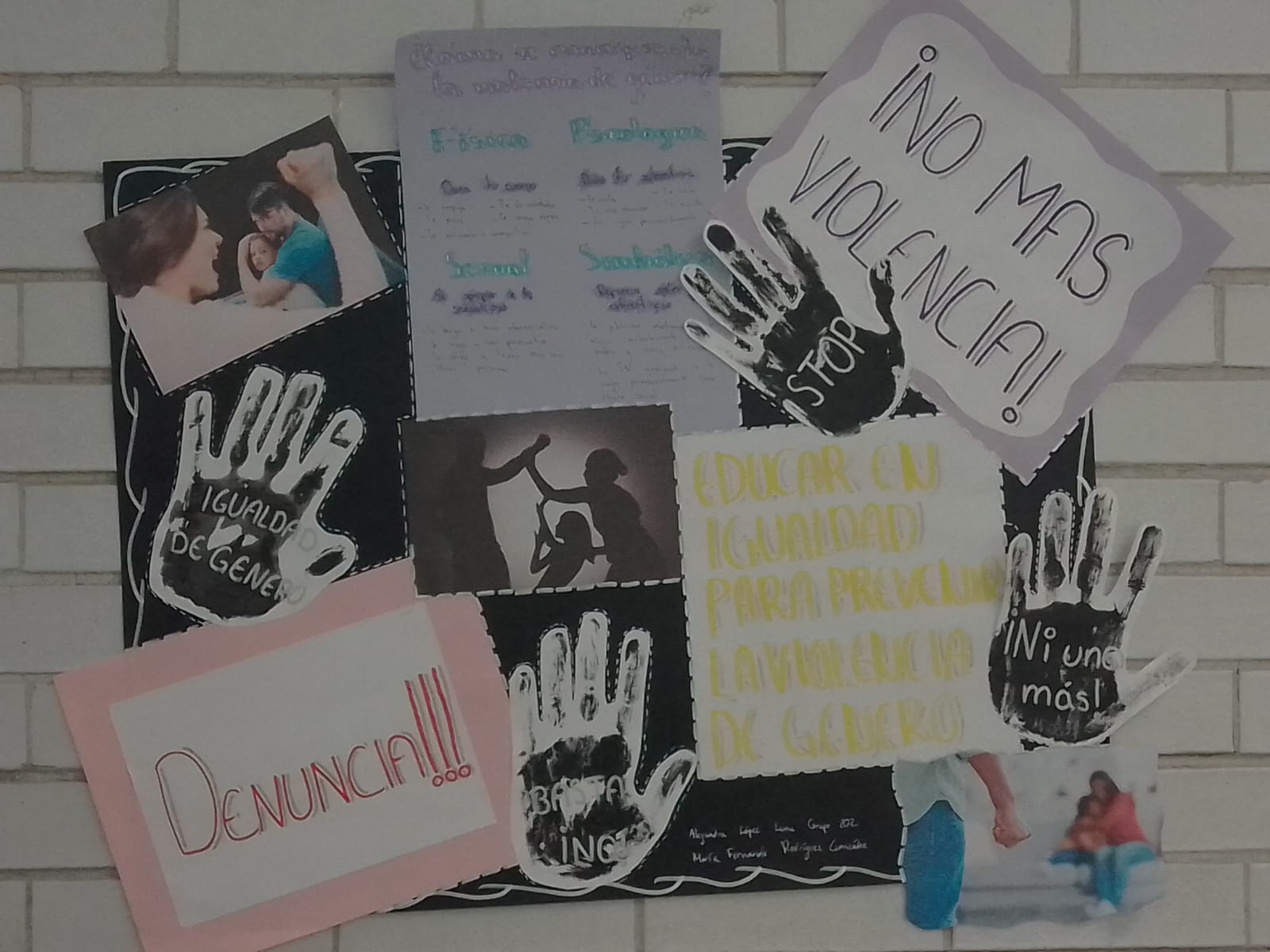 Imagen 8