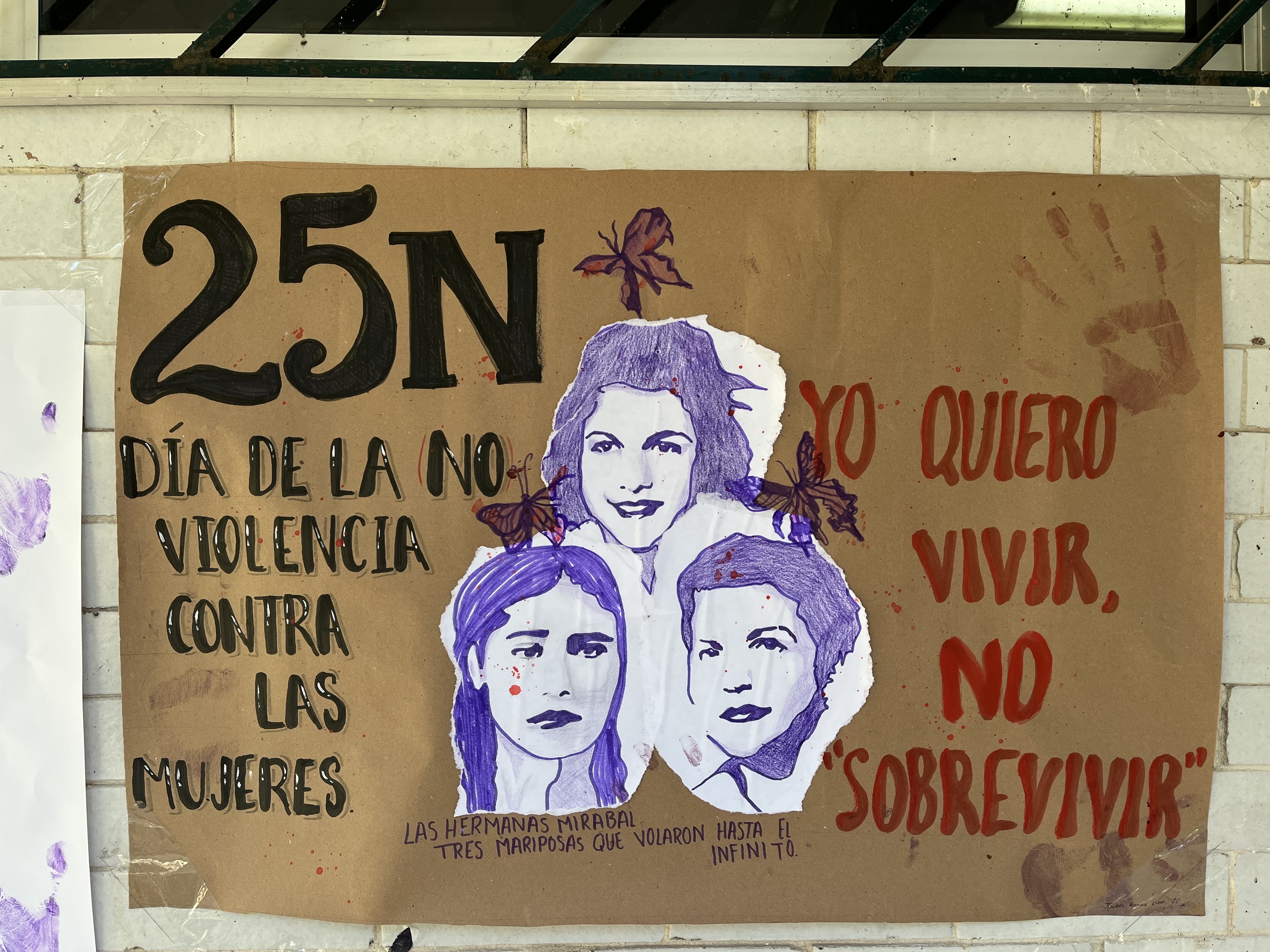 Imagen 6