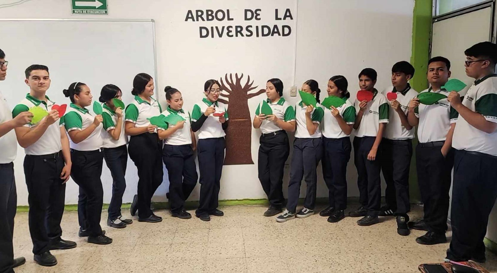 Imagen 6