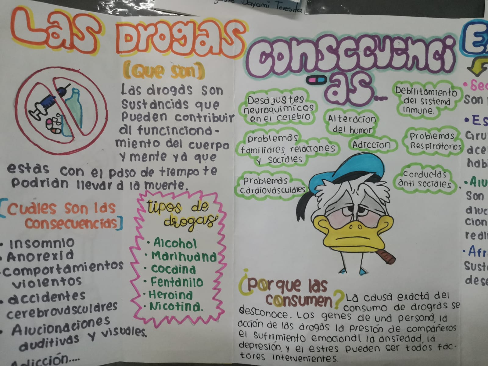 Imagen 5
