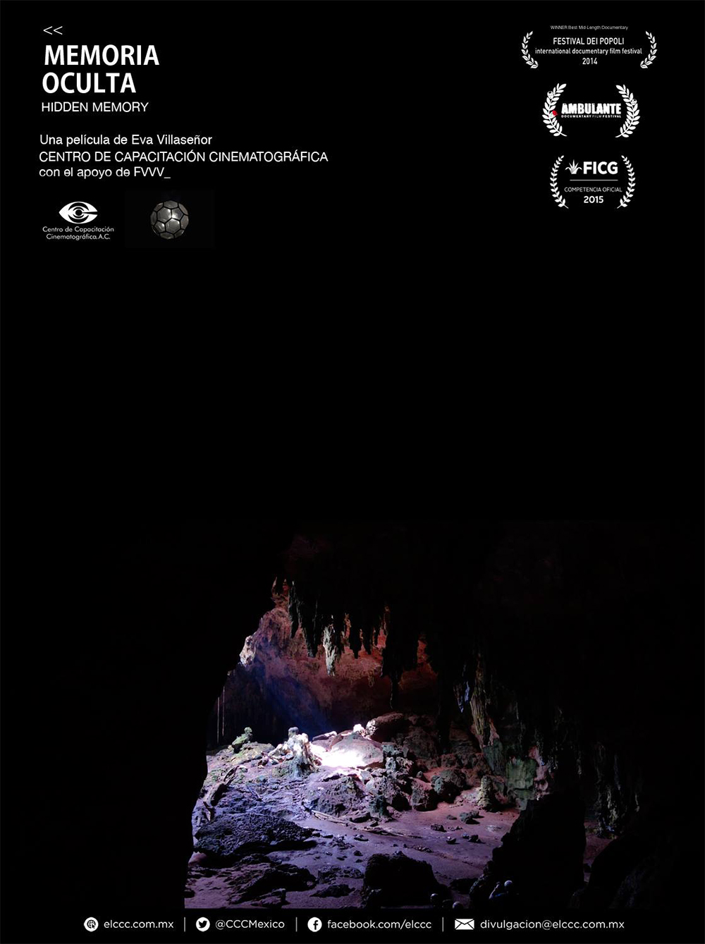 Póster de Memoria Oculta