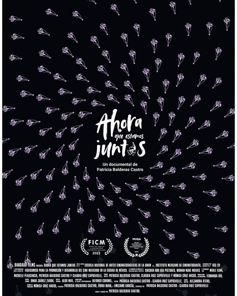 Póster de Ahora que estamos juntas